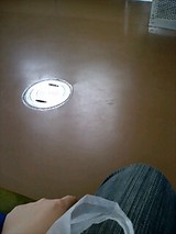 7b98954f.jpg