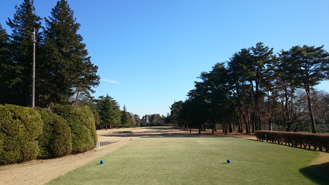 紫あやめ36EAST17番ホール