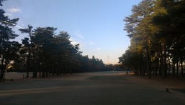 紫あやめ36(EAST3番)