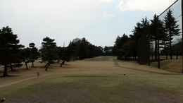 紫CCあやめコース (4)