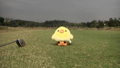 ゴルフ場での1コマ