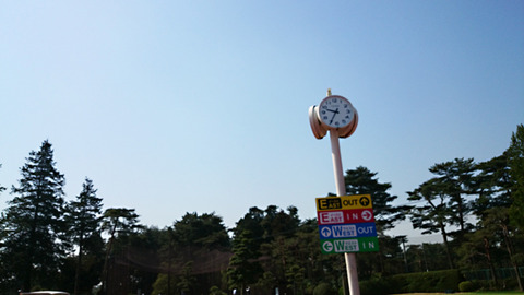 紫あやめ36