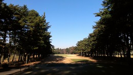 紫あやめ36(EAST8番)