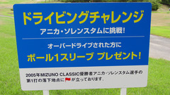 アニカ・ソレンスタムに挑戦