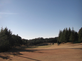 ��ͥ쥤��������ȥ꡼����֡�2008/12/06��