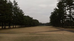 紫CCあやめコース (2)