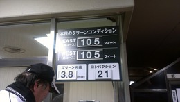 紫あやめ36EASTあやめグリーン速さ