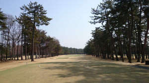 紫あやめ36EAST(東) (1)