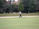 ��ͥ쥤��������ȥ꡼����֡�2008/10/26��