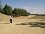 ��ͥ쥤��������ȥ꡼����֡�2008/12/06��