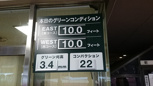 紫あやめ36EAST(東) (2)