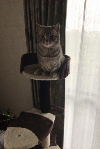 ほほぅ たまに書くならこんな意味と感想のあることを