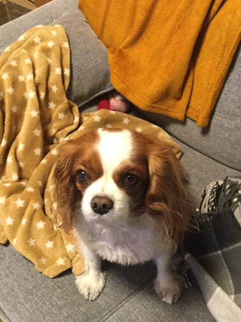 8527364F-F47C-405C-B57A-E1D4CA930294