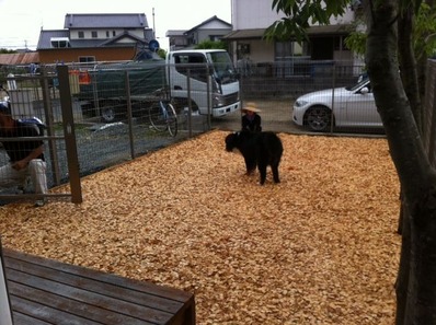 写真4