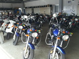 c95e3eb1.jpg