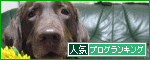 br_decobanner_20100704130456[1]