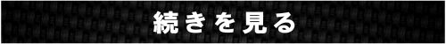 続きを見る