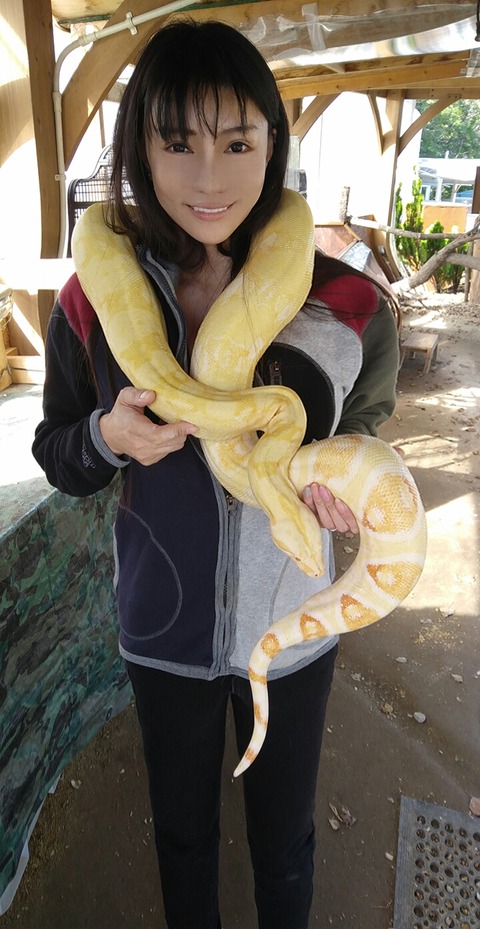 BeautyPlus_20181002234643262_save