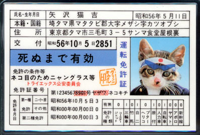 免許証