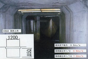 WS000007
