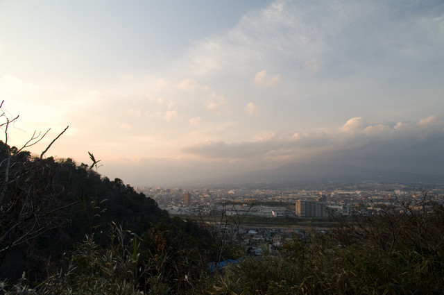 ��ӻ���ʢ���鸫�����Ť�����