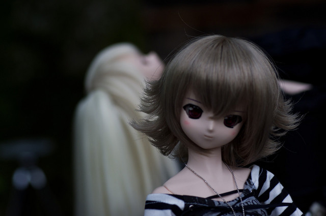 ドール@善福寺公園2