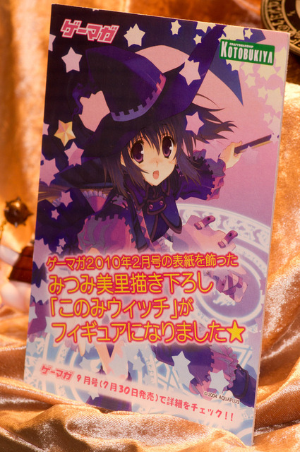 WF2010S_04