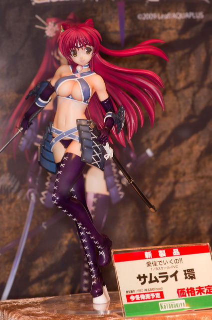 WF2010S_02