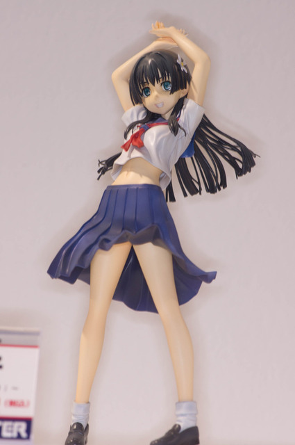 WF2010S_29