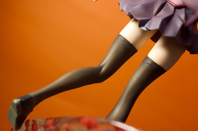 ブキヤひたぎ10