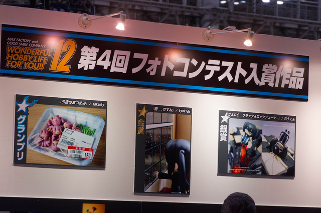 WF2010S_13