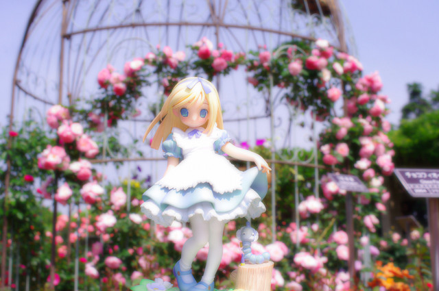 ソフトフォーカス作例2
