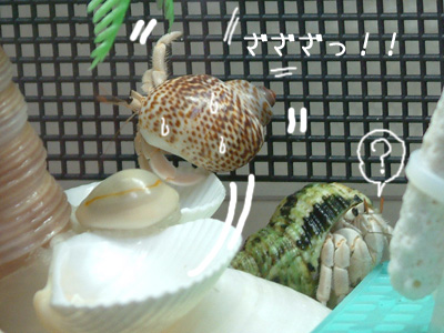 らむ
