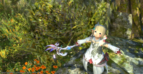 ffxiv_20170902_162806