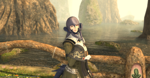 ffxiv_20170703_173927