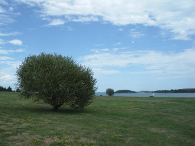 spectaclar island5