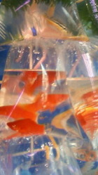 201105161155000