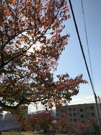 IMG_0821