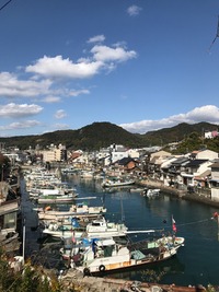 IMG_0823