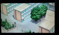 PAP_0006