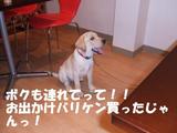 連れてって