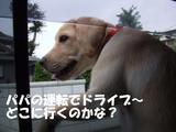 病院へドライブ