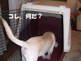 移動用1