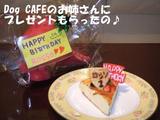ケーキ2
