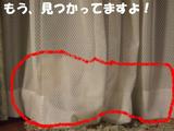 かくれんぼ4