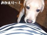 おかえり1