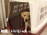 移動用2