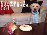 ケーキ3