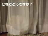 かくれんぼ3