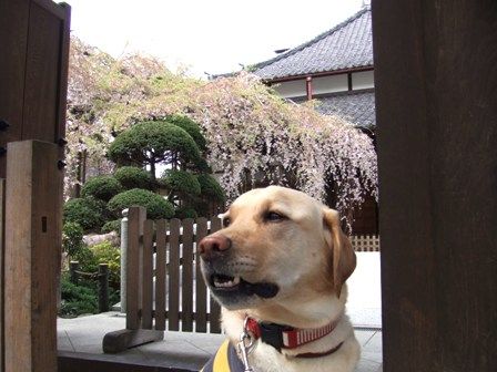 505